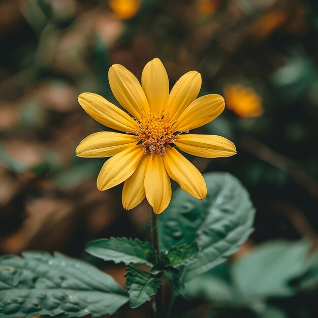 Foto una flor amarilla con el número 3 en ella