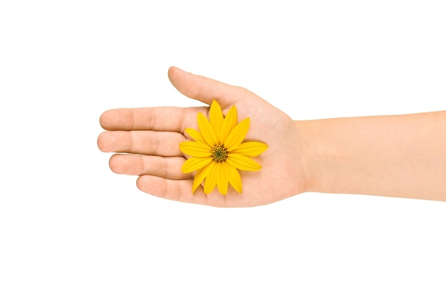 Flor amarilla en la palma femenina salvar el medio ambiente concepto de cuidado de la piel cosmético símbolo de naturaleza pura