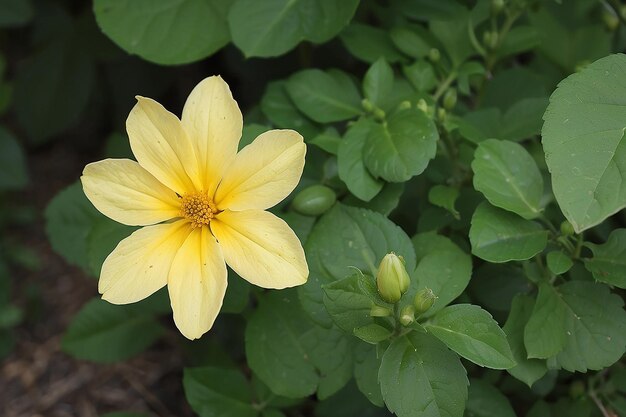 La flor amarilla