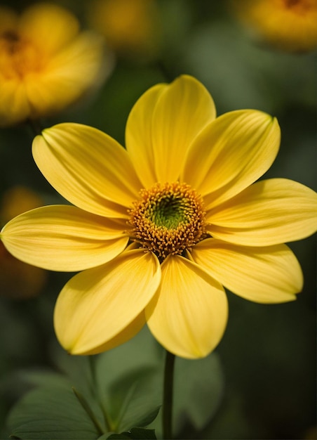 Una flor amarilla