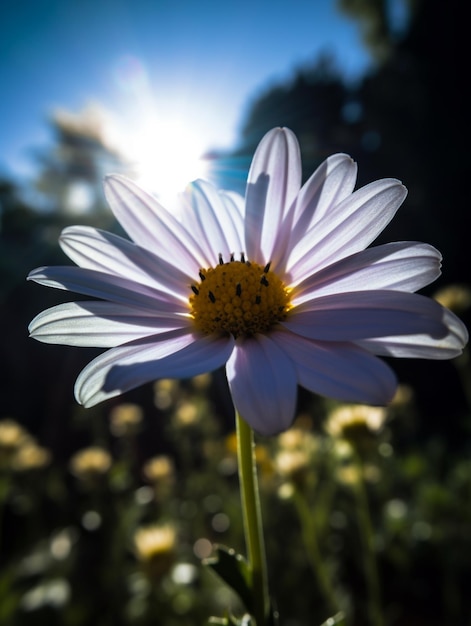 flor arafada com um centro amarelo na frente de um sol generativo ai