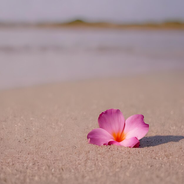 Foto una flor en la arena con la playa en el fondo