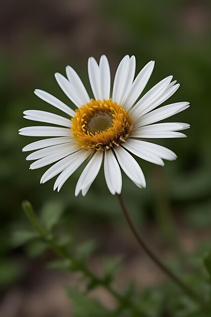 flor de aspecto realista