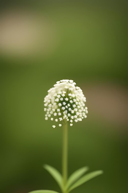 Foto flor de aspecto realista