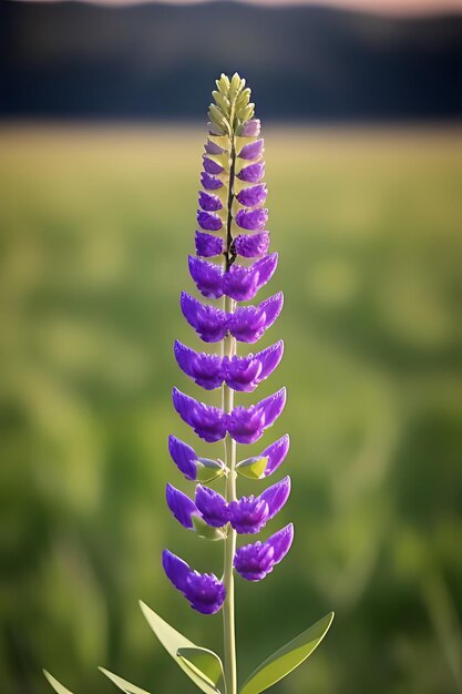 Foto flor de aspecto realista