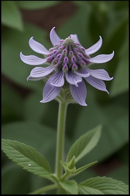 Foto flor de aspecto realista