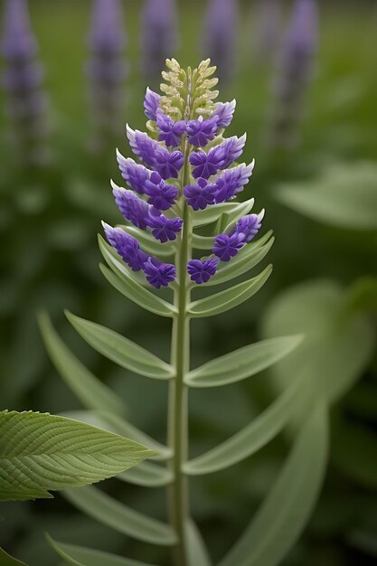 Foto flor de aspecto realista