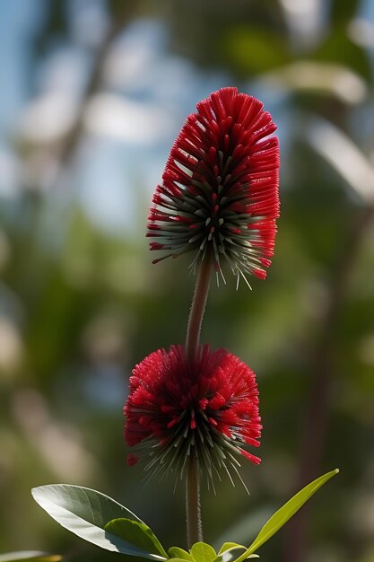 flor de aspecto realista