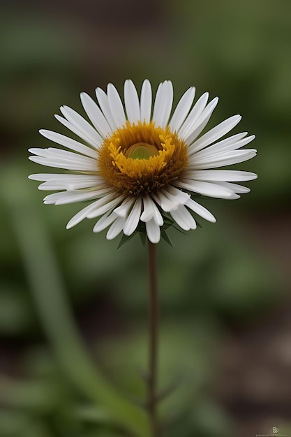 flor de aspecto realista