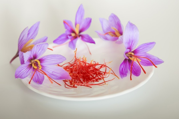 Flor de azafrán y hebras de azafrán en un plato blanco. La especia más cara.