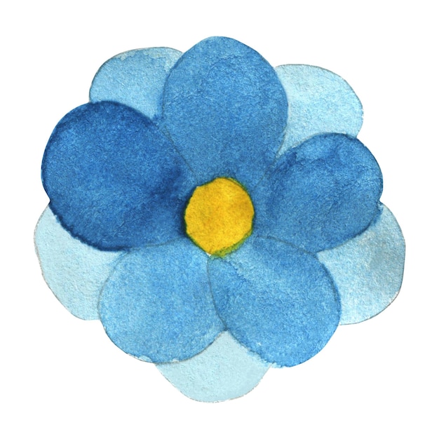 Flor azul aquarela isolada no fundo branco