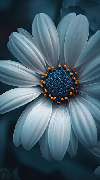 Una flor azul y blanca con un centro amarillo