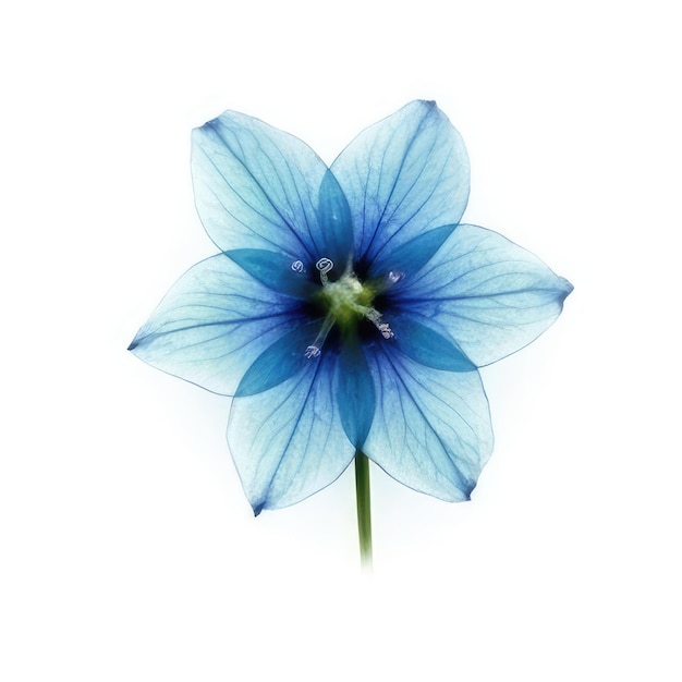 Una flor azul con un centro verde y la palabra "azul" en ella.