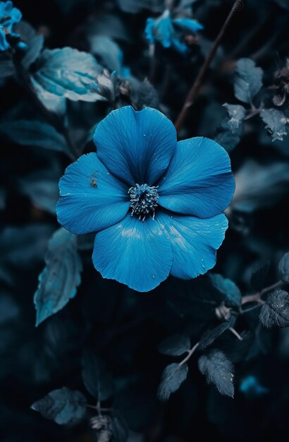 flor azul com fundo desfocado