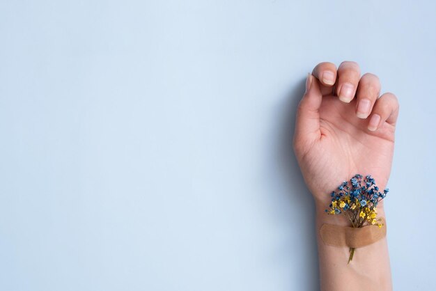 Flor azul e amarela sob o remendo em uma mão feminina em um fundo azul Tratamento salvação do conceito da Ucrânia Copiar espaço