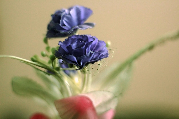 Una flor azul en un florero