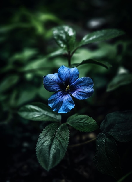 Una flor azul con una hoja verde en el fondo.