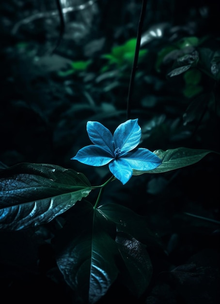 Una flor azul en la oscuridad