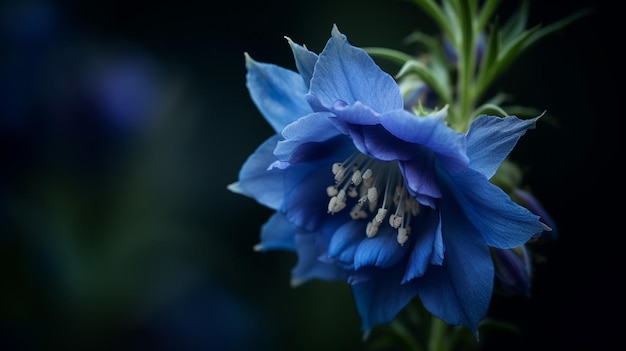 Una flor azul con la palabra azul en ella