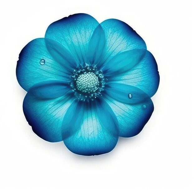 Una flor azul con la palabra " azul " en ella.