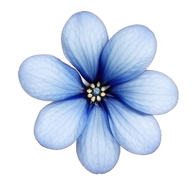 Una flor azul con pétalos blancos y un pétalo azul.