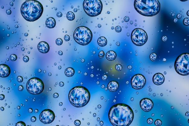Una flor azul reflejada en unas gotas de agua.