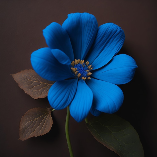 Flor azul sobre fundo marrom