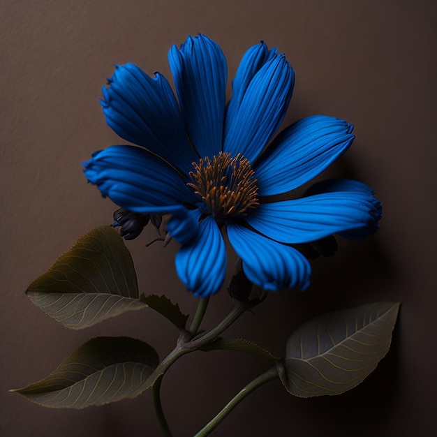 Flor azul sobre fundo marrom