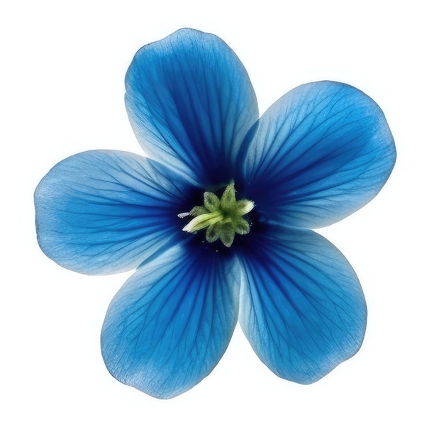 Una flor azul con un tallo verde