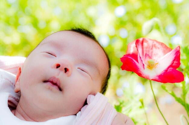 flor y bebe