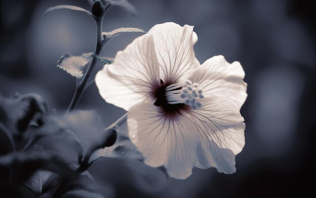 Flor blanca con hojas grises sobre un fondo gris AI generativa AI