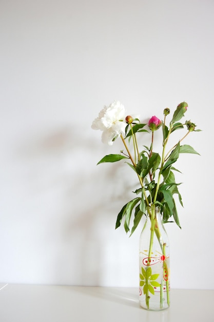 Flor blanca en un jarrón de vidrio en la mesa contra la pared