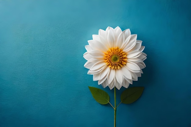 Una flor blanca sobre un fondo azul con un centro amarillo.