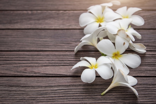 Flor branca do frangipapi na tabela de madeira com espaço da cópia para o fundo.