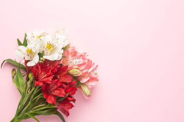 Flor branca e rosa alstroemeria em uma rosa