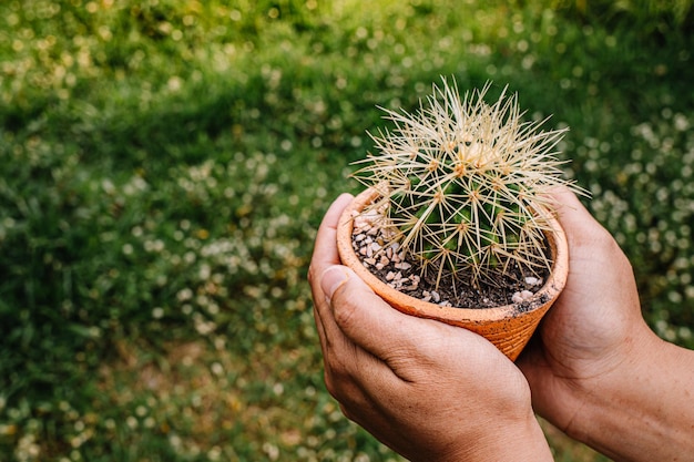 flor de cactus en el jardín