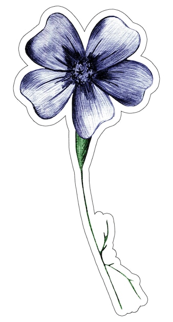 Flor De Caléndula Con Hojas Ilustración De Etiqueta Dibujada A Mano Etiqueta Floral Colorida Aislada