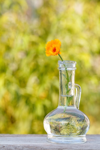 Flor de caléndula con un tallo en un frasco de vidrio sobre tabla de madera con fondo natural verde borroso