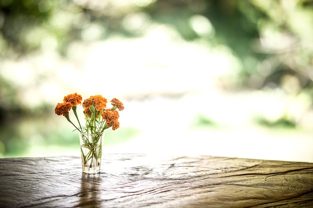 Flor de caléndula en vaso de vidrio con fondo de jardín verde bokeh