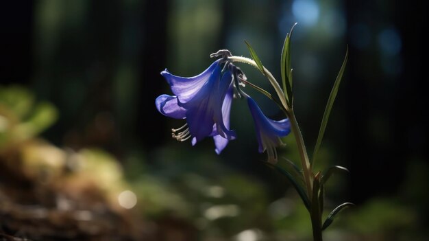 Una flor de campana azul en el bosque