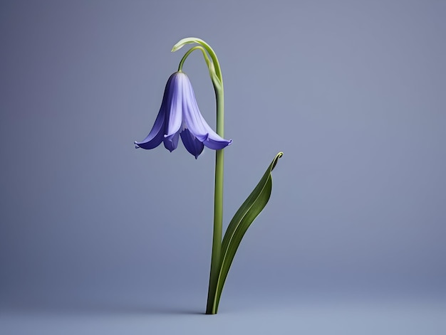 Foto flor de campana azul en el fondo del estudio flor de campana blanca única hermosa flor ai imagen generada