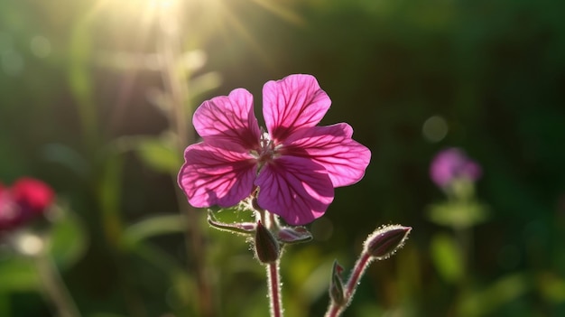 Flor de Campion roja bellamente florecida con fondo natural IA generativa