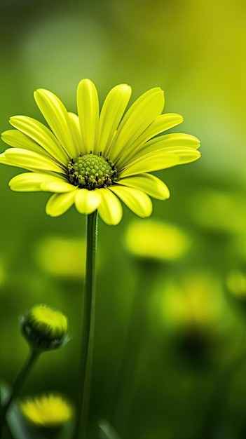 Una flor en un campo de verde.