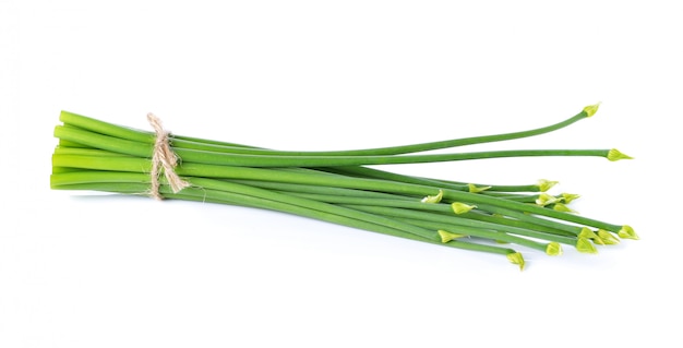 Flor de cebolla aislada sobre fondo blanco