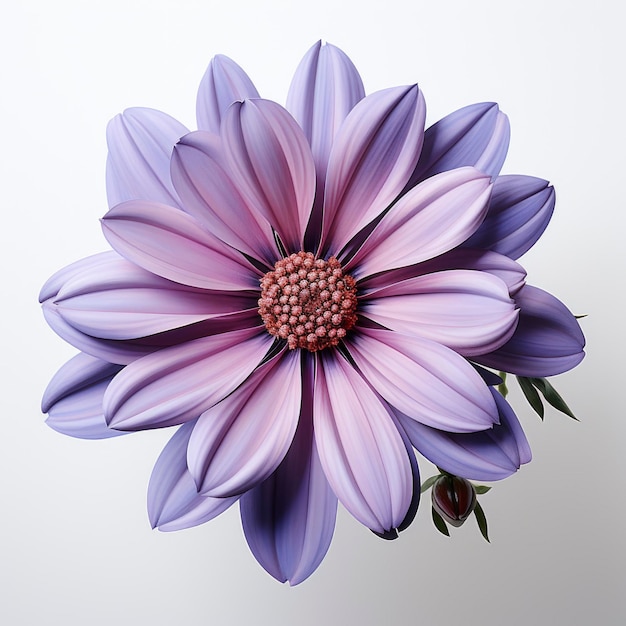 Flor con el centro cortado en la parte inferior fotorealista en HD con fondo blanco