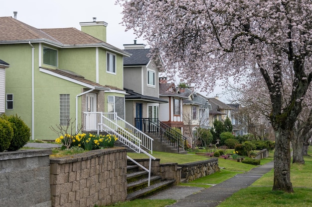 Flor de cerezo en flor en la avenida residencial de la ciudad de Vancouver BC Canadá