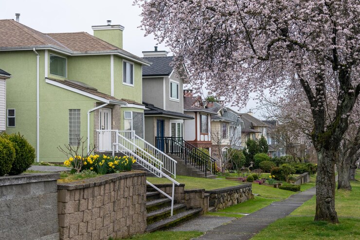 Flor de cerezo en flor en la avenida residencial de la ciudad de Vancouver BC Canadá