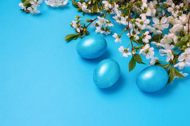 Flor de cerezo y huevos de Pascua azul sobre fondo azul.