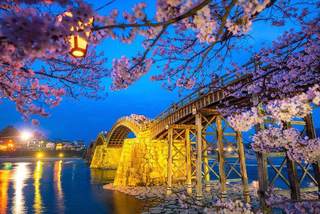 La flor del cerezo en pleno flor en el puente Kintaikyo