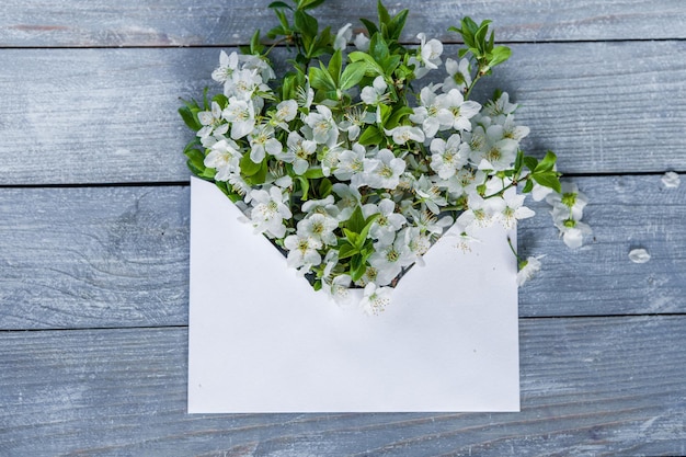 Flor de cerezo de primavera blanca sobre una mesa de madera rústica azul.